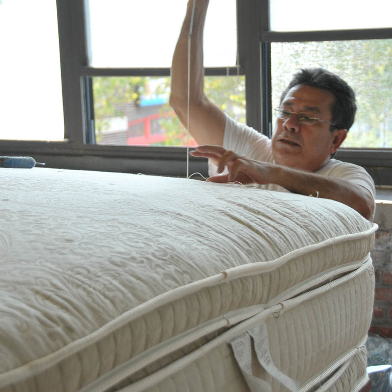 Shefman Shifman Mattresses For Sale – Hendrixson's Furniture
